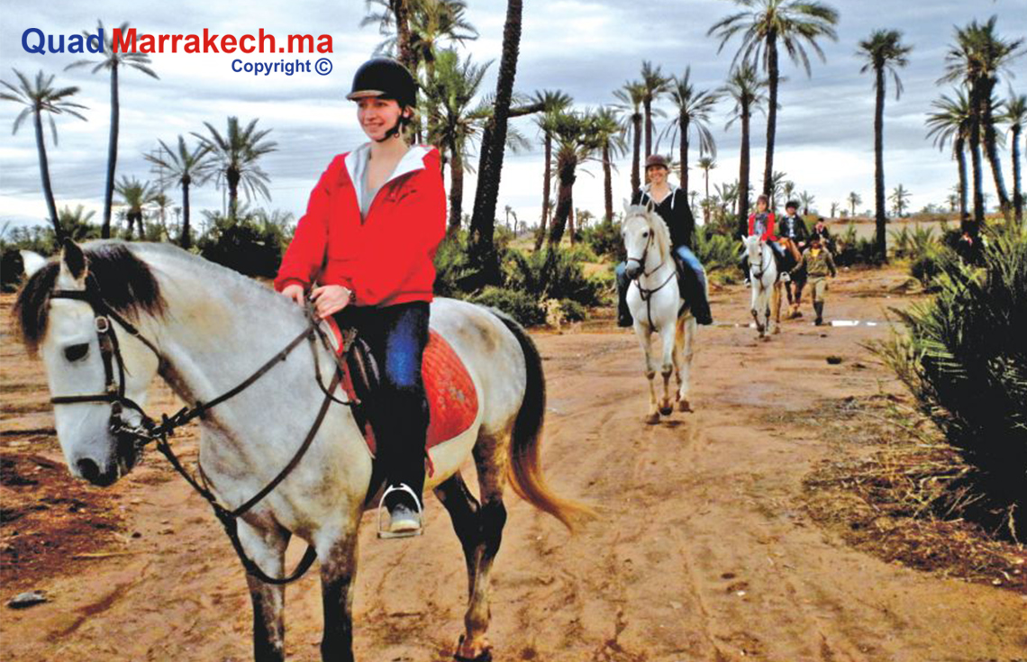 Balade en Quad Marrakech , Quad Marrakech , Balade en Quad, Chameau Marrakech, Dromadaire Marrakech, Quad et Chameau Marrakech , Quad et Dromadaire Marrakech , Buggy Marrakech, Quad tour Marrakech, Quad Palmeraie Marrakech, Quad Desert Marrakech, Dromadaire Desert Marrakech , Dromadaire Palmeraie Marrakech, Quad biking Desert Marrakech , Quad Biking Marrakech , Buggy ride Marrakech , Activités à Marrakech, Quad Pas cher Marrakech, Promotion Quad Marrakech, Quoi faire à Marrakech, Marrakech
